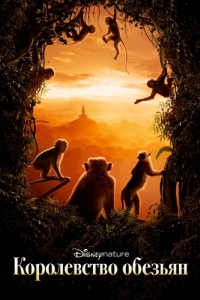 Постер Королевство обезьян (Monkey Kingdom)