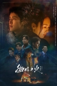 Постер Бледный огонь (Wei An Zhi Huo)