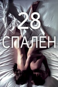Постер 28 спален (28 Hotel Rooms)