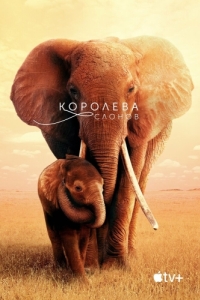 Постер Королева слонов (The Elephant Queen)