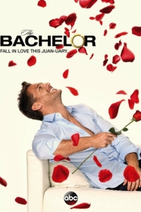 Постер Холостяк (The Bachelor)