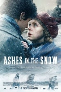 Постер Пепел в снегу (Ashes in the Snow)