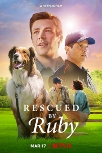 Постер Руби, собака-спасатель (Rescued by Ruby)