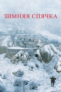 Постер Зимняя спячка (Kis Uykusu)