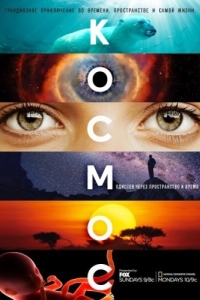 Постер Космос: Пространство и время (Cosmos: A Spacetime Odyssey)