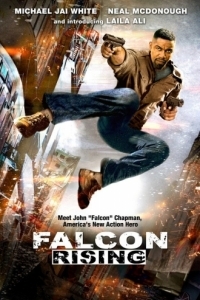 Постер Восхождение Сокола (Falcon Rising)