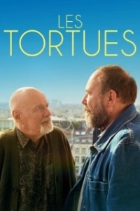 Постер Черепахи (Les tortues)