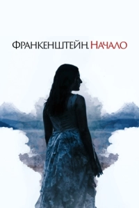 Постер Франкенштейн. Начало (A Nightmare Wakes)