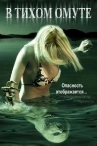 Постер В тихом омуте 
