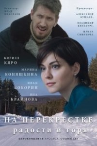 Постер На перекрёстке радости и горя 