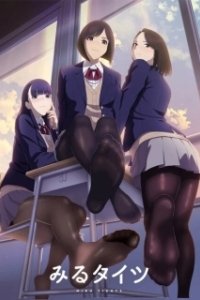 Постер Созерцая колготки (Miru Tights)