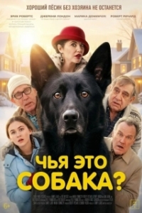 Постер Чья это собака? (Not My Dog)