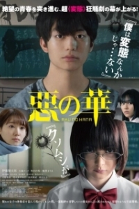 Постер Цветы зла (Aku no Hana)