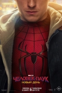 Постер Человек-паук: Новый день (Spider-Man: Brand New Day)