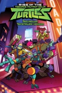 Постер Эволюция Черепашек-ниндзя (Rise of the Teenage Mutant Ninja Turtles)