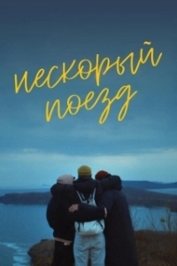 Постер Нескорый поезд 