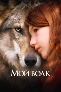 Постер Мой волк (Mystère)