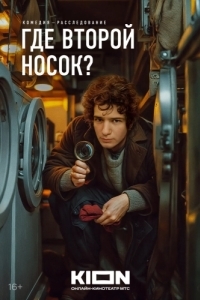 Постер Где второй носок? 