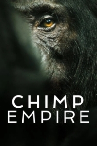 Постер Империя шимпанзе (Chimp Empire)