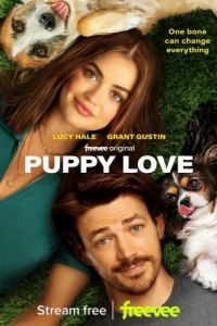 Постер Щенячья любовь (Puppy Love)