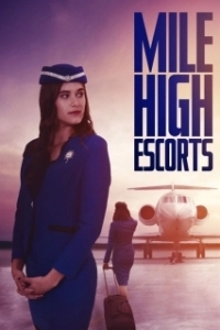 Постер Эскорт на Высоте (Secrets in the Air)