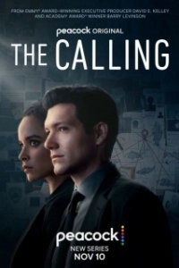 Постер Призвание (The Missing)