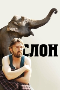 Постер Слон 