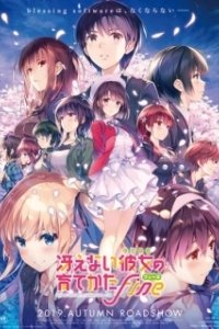 Постер Как из обычной девушки воспитать героиню (фильм) (Saenai Heroine no Sodatekata Gekijouban Fine)
