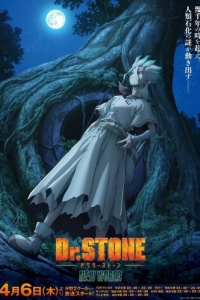 Постер Доктор Стоун (Dr. Stone)