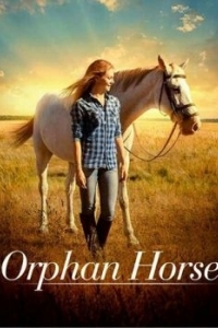 Постер Сиротка (Orphan Horse)