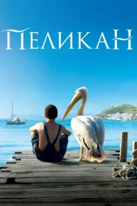 Постер Пеликан (Nicostratos le pélican)