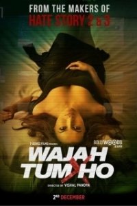 Постер Ты всему причина (Wajah Tum Ho)