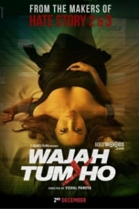 Постер Ты всему причина (Wajah Tum Ho)
