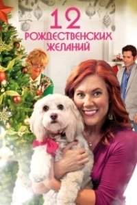 Постер 12 Рождественских желаний (The Twelve Wishes of Christmas)