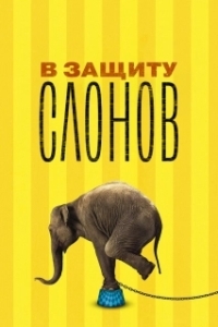 Постер В защиту слонов (An Apology to Elephants)