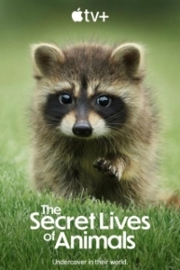 Постер Тайная жизнь животных (The Secret Lives of Animals)