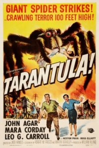 Постер Тарантул (Tarantula)