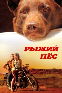 Постер Рыжий пес (Red Dog)