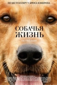 Постер Собачья жизнь (A Dog's Purpose)