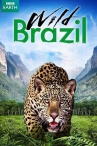 Постер Дикая Бразилия (Wild Brazil)