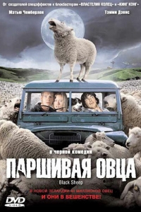 Постер Паршивая овца (Black Sheep)