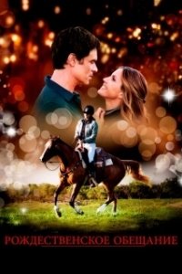 Постер Рождественское обещание (The Mistletoe Promise)