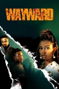 Постер Заблудшие (Wayward)