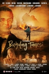 Постер Пшеничное зерно (Bugday Tanesi)