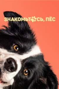 Постер Знакомьтесь, пёс (Řekni to psem)