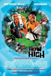 Постер Торчки (How High)