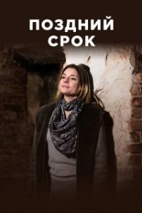 Постер Поздний срок 