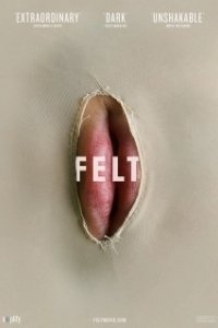 Постер Войлок (Felt)