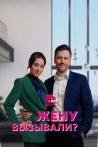 Постер Жену вызывали? 