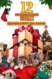 Постер 12 рождественских собак: Спасение приюта для щенков (12 Dogs of Christmas - Great Puppy Rescue)